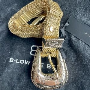 B-Low the Belt Gold Mesh Belt
